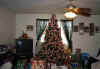 axmas17.jpg (50388 bytes)