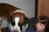 me and goliath.jpg (32014 bytes)