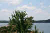 vacation9.jpg (149985 bytes)